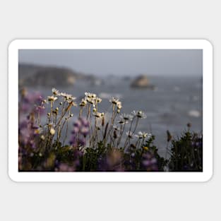 Wildflowers Over the Pacific Sticker